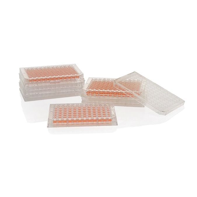 Thermo Scientific Nunc MicroWell 96-Well, Nunclon Delta-Treated, Flat-Bottom Microplate - 96 wells - 161093