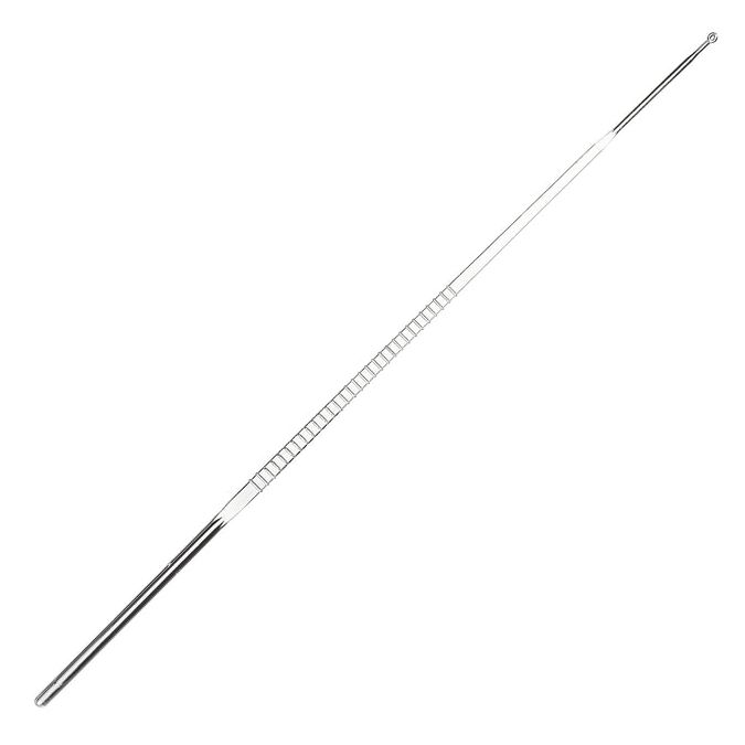 Thermo Scientific Nunc Disposable Loops and Needles - 254410