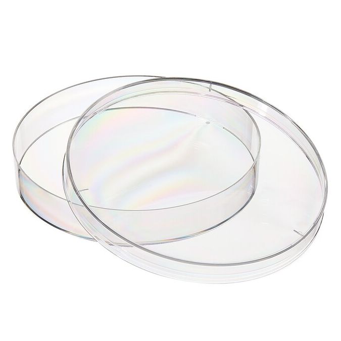 Thermo Scientific Nunc Petri Dishes - 263991 - 100 mm