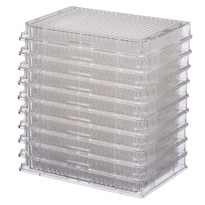 Thermo Scientific Clear Flat-Bottom Immuno Nonsterile 384-Well Plates - 384 wells - 100 μL - 464718