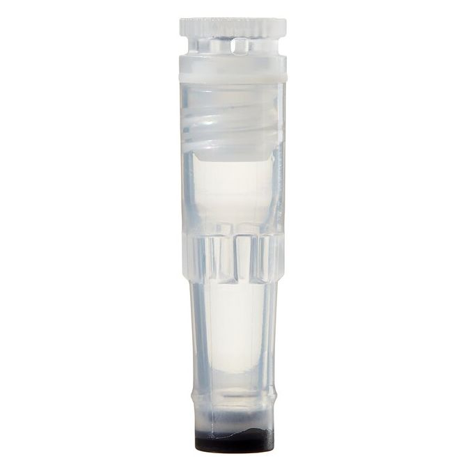 Thermo Scientific Nunc Biobanking and Cell Culture Cryogenic Tubes - 0.5 mL - Case of 960 - 374080