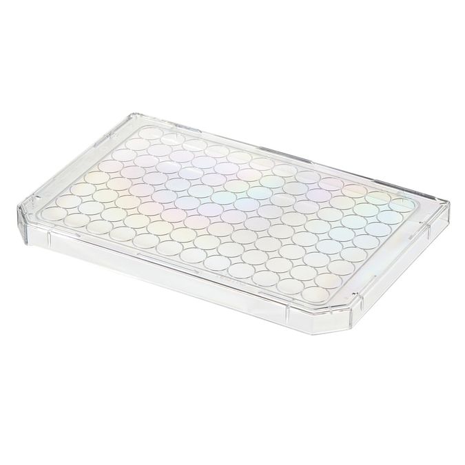 Thermo Scientific Nunc Microplate Lids - 96 wells - 263339