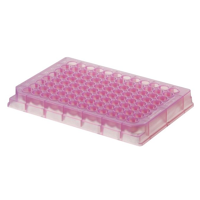 Thermo Scientific Nunc 96-Well Polypropylene Sample Processing & Storage Microplates - 96 wells - 400 μL - 249943