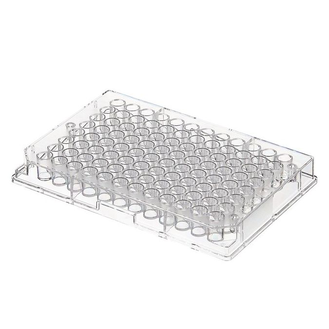 Thermo Scientific Clear Flat-Bottom Immuno Nonsterile 96-Well Plates - 96 wells - 350 μL - 442404