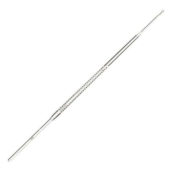 Thermo Scientific Nunc Disposable Loops and Needles - 253287