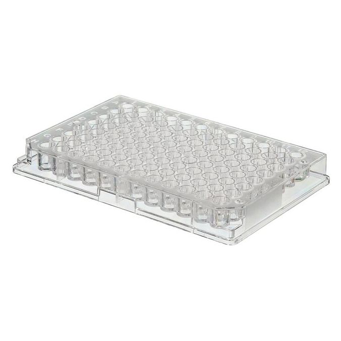 Thermo Scientific Clear C-Shaped Immuno Nonsterile 96-Well Plates - 96 wells - 250 μL - 430341