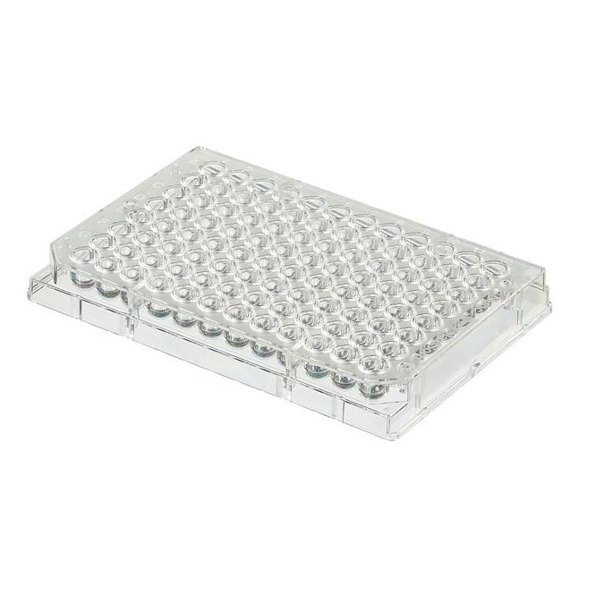 Thermo Scientific Clear Round-Bottom Immuno Nonsterile 96-Well Plates - 96 wells - 250 μL - 449824
