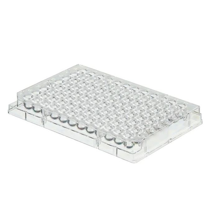 Thermo Scientific Clear Round-Bottom Immuno Nonsterile 96-Well Plates - 96 wells - 250 μL - 475434