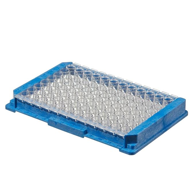 Thermo Scientific Plates and Modules with Covalent Binding Surfaces - 96 wells - 100 μL - 478042