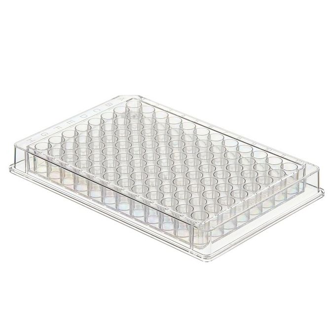 Thermo Scientific Clear Flat-Bottom Immuno Nonsterile 96-Well Plates - 96 wells - 330 μL - 9502227