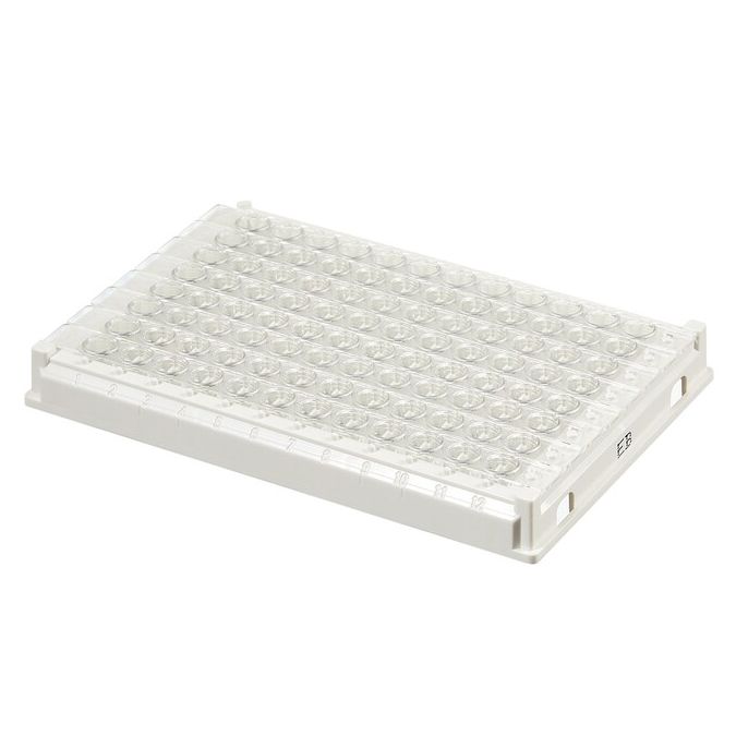 Thermo Scientific Strip Assembly, 1 x 12, EB - 12 wells - 300 μL - 95029140