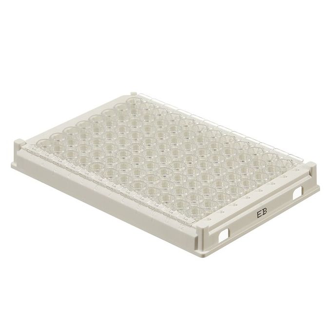Thermo Scientific Immuno Breakable Modules Clear - 96 wells - 350 μL - 95029180