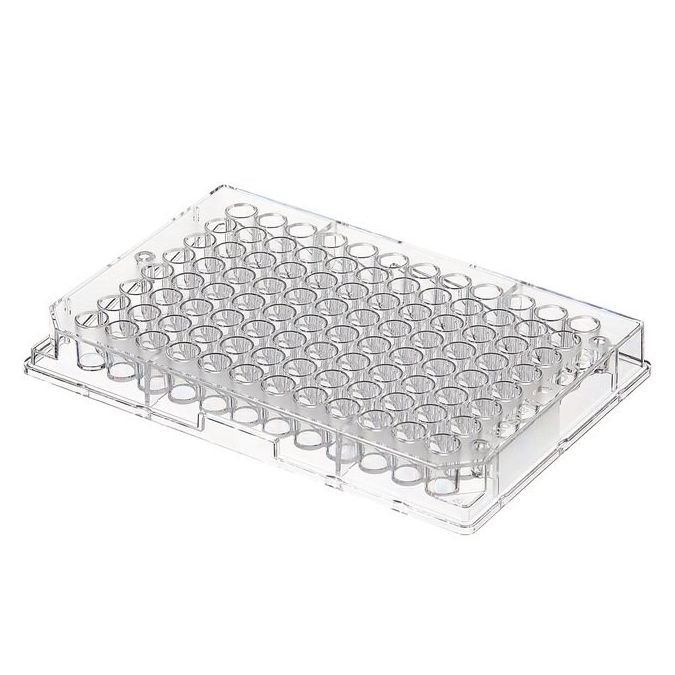 Thermo Scientific Clear Flat-Bottom Immuno Nonsterile 96-Well Plates - 96 wells - 350 μL - 439454