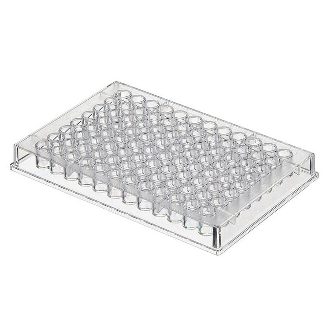 Thermo Scientific Clear Flat-Bottom Immuno Nonsterile 96-Well Plates - 96 wells - 350 μL - 456529