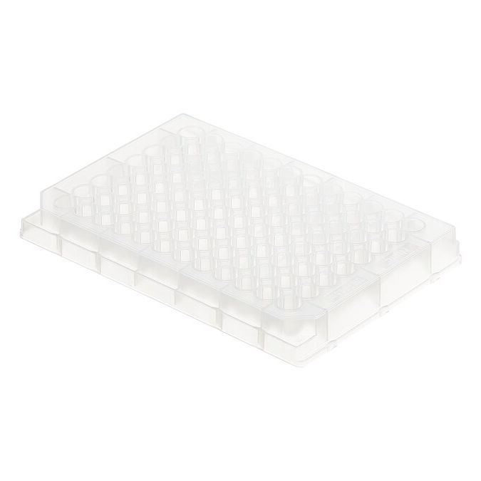 Thermo Scientific Nunc 96-Well Polypropylene Sample Processing & Storage Microplates - 96 wells - 450 μL - 267245