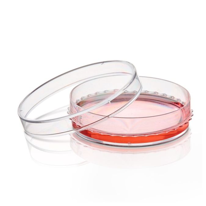Thermo Scientific BioLite Cell Culture Treated Dishes - 130181 - 60 mm