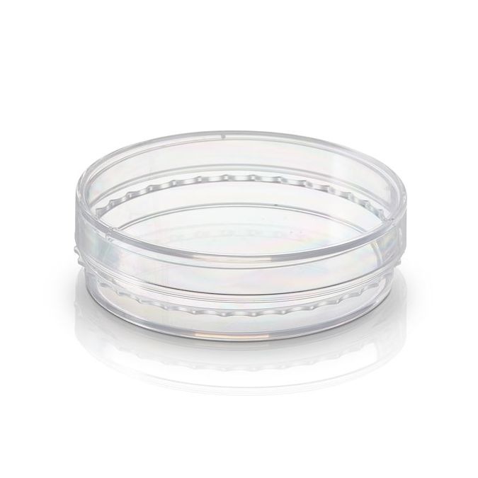 Thermo Scientific BioLite Cell Culture Treated Dishes - 130183 - 150 mm