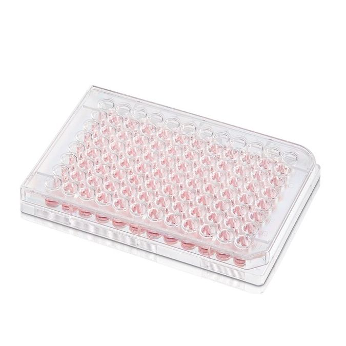 Thermo Scientific BioLite Microwell Plates - 6 wells - 3 mL - 9.6 cm2 culture area - 130184