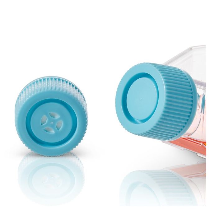 Thermo Scientific BioLite Cell Culture Treated Flasks - 130190 - 75 cm2 - Vented