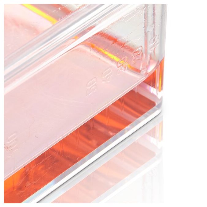 Thermo Scientific BioLite Cell Culture Treated Flasks - 130191 - 175 cm2 - Vented