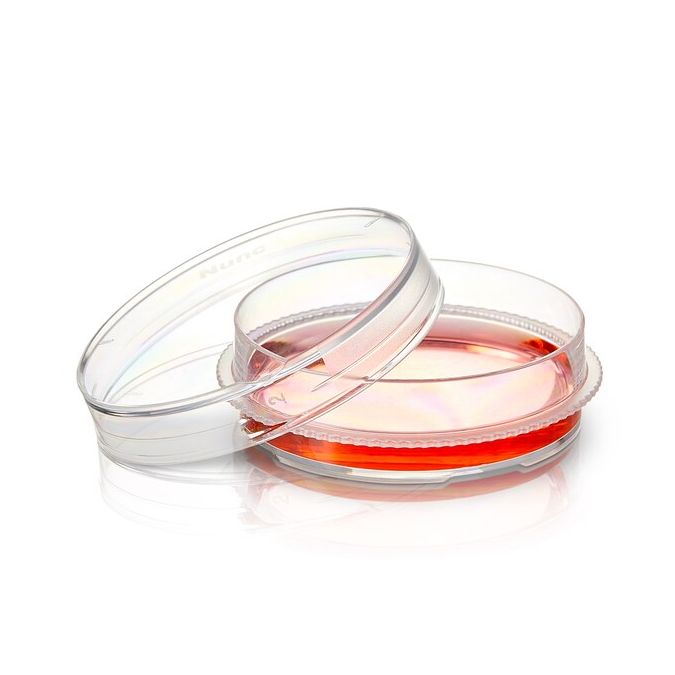 Thermo Scientific Nunc EasYDish Dishes with Nunclon Supra Surface - 150470 - 35 mm - Clear