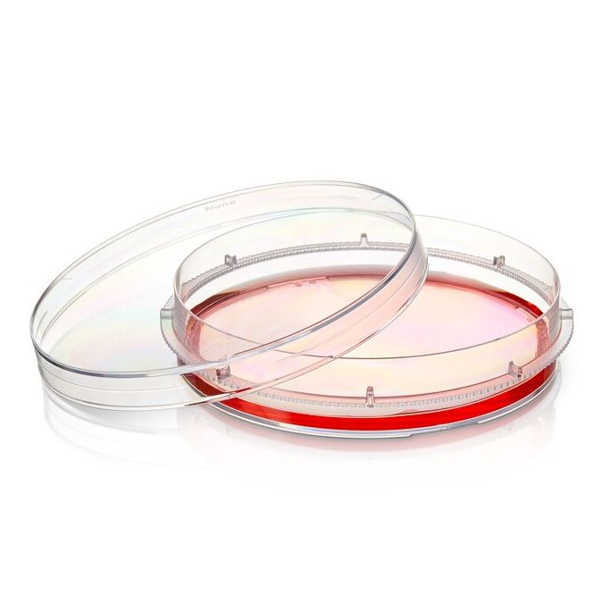 Thermo Scientific Nunc EasYDish Dishes with Nunclon Supra Surface - 150476 - 100 mm - Clear