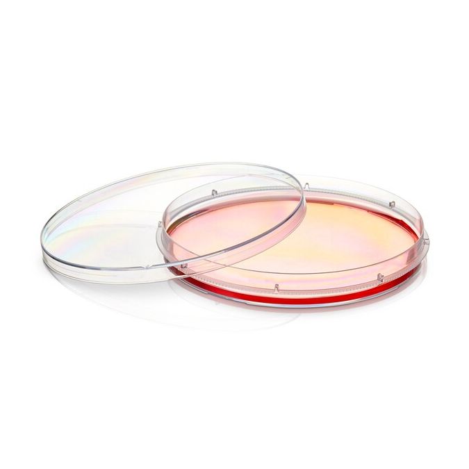 Thermo Scientific Nunc EasYDish Dishes with Nunclon Supra Surface - 150478 - 150 mm - Clear