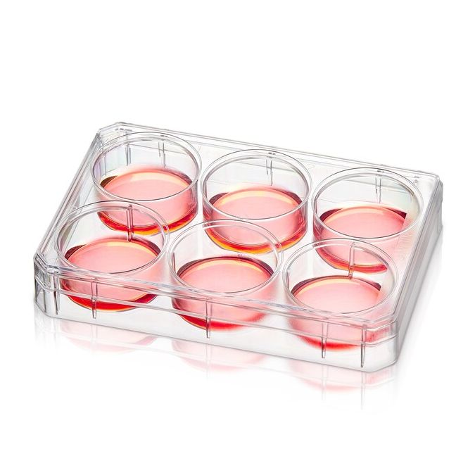Thermo Scientific Nunc Multidishes with Nunclon Supra Surface - 6 wells - 140680