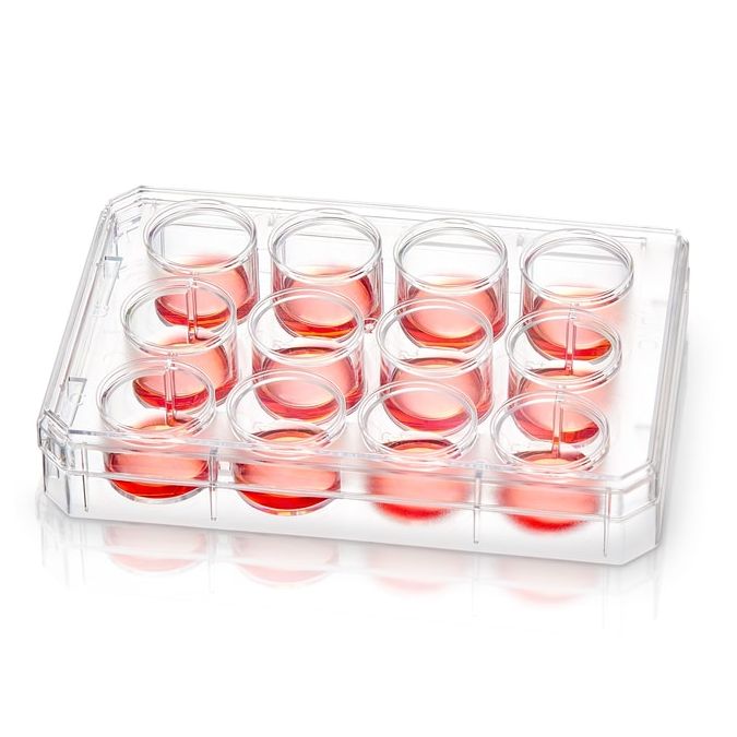 Thermo Scientific Nunc Multidishes with Nunclon Supra Surface - 12 wells - 140681