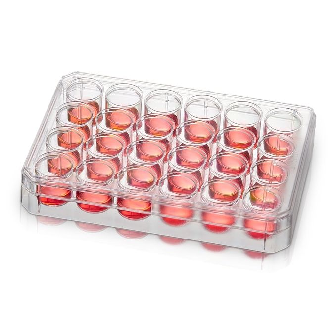 Thermo Scientific Nunc Multidishes with Nunclon Supra Surface - 24 wells - 140682