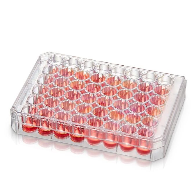 Thermo Scientific Nunc Non-Treated Multidishes - 48 wells - 0.5 mL - 150787