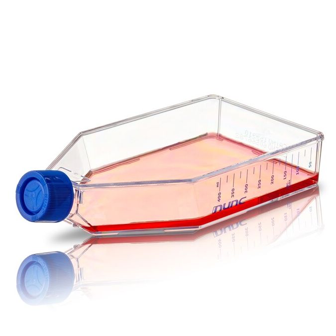 Thermo Scientific Nunc Cell Culture Treated Flasks with Solid Caps - 156502 - 175 cm2 - Solid