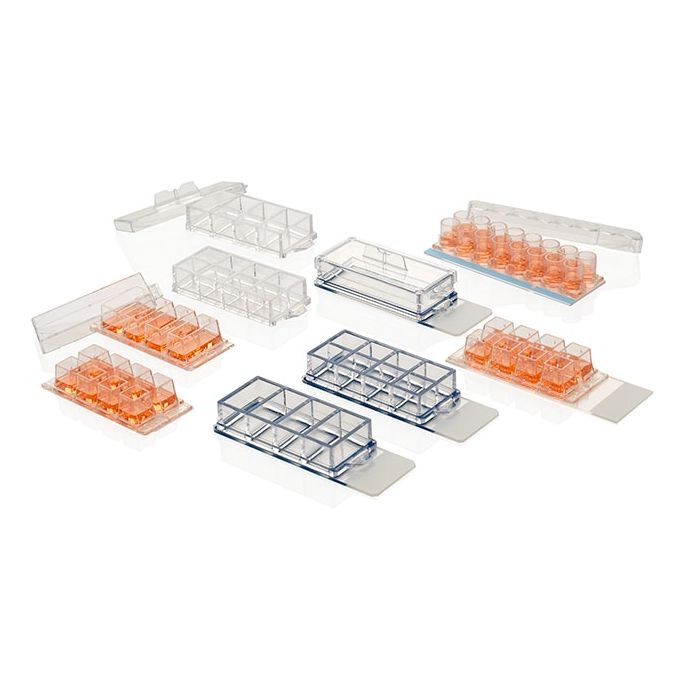 Nunc Lab-Tek Chamber Slide System
