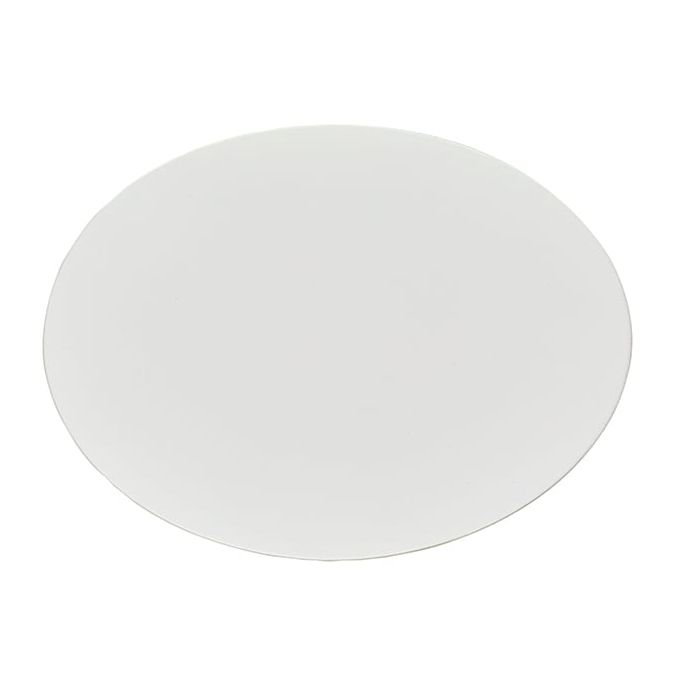 Thermo Scientific Nalgene Membrane and Prefilter Disks - DS0210-4020 - White - 47 mm