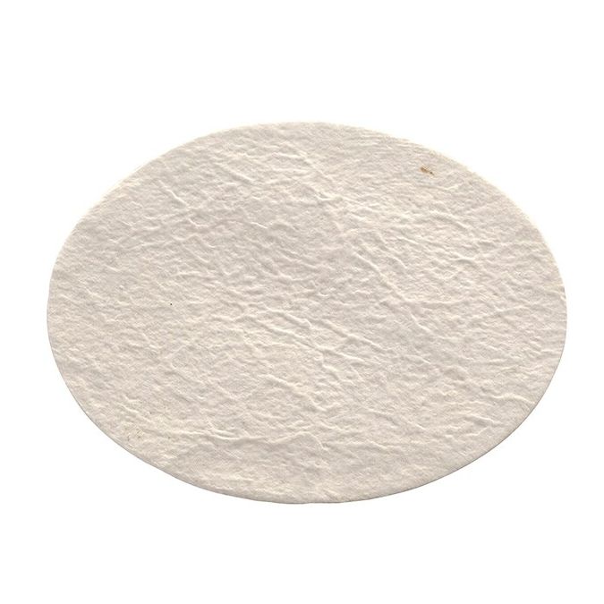 Thermo Scientific Nalgene Membrane and Prefilter Disks - DS0281-5000 - 50 mm