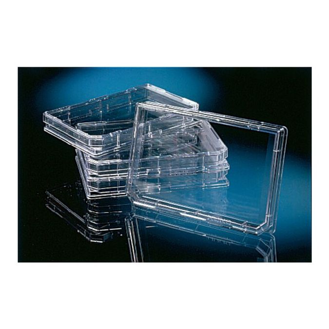 Thermo Scientific Nunc OmniTray Single-Well Plate - 140156 - Clear