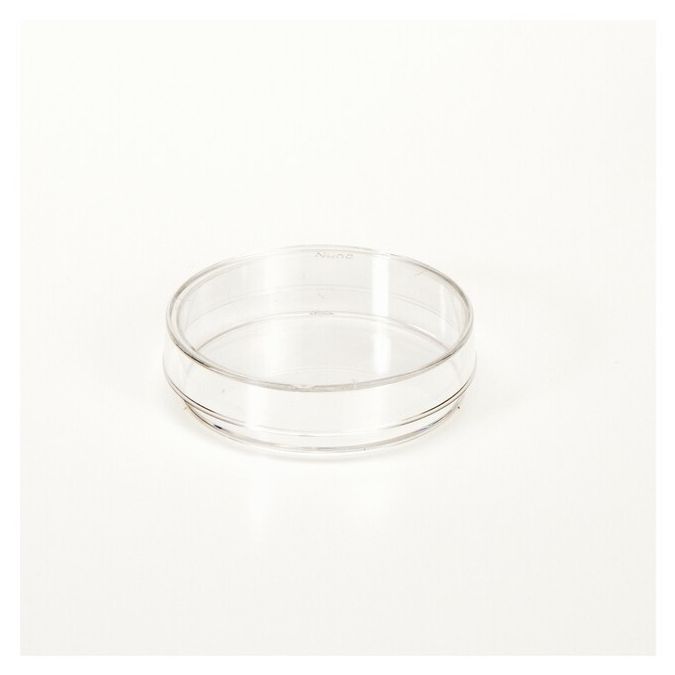Thermo Scientific Nunc Cell Culture/Petri Dishes - 150288 - 60 mm