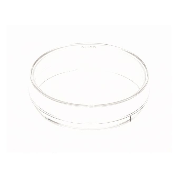 Thermo Scientific Nunc Cell Culture/Petri Dishes - 150326 - 60 mm - Clear