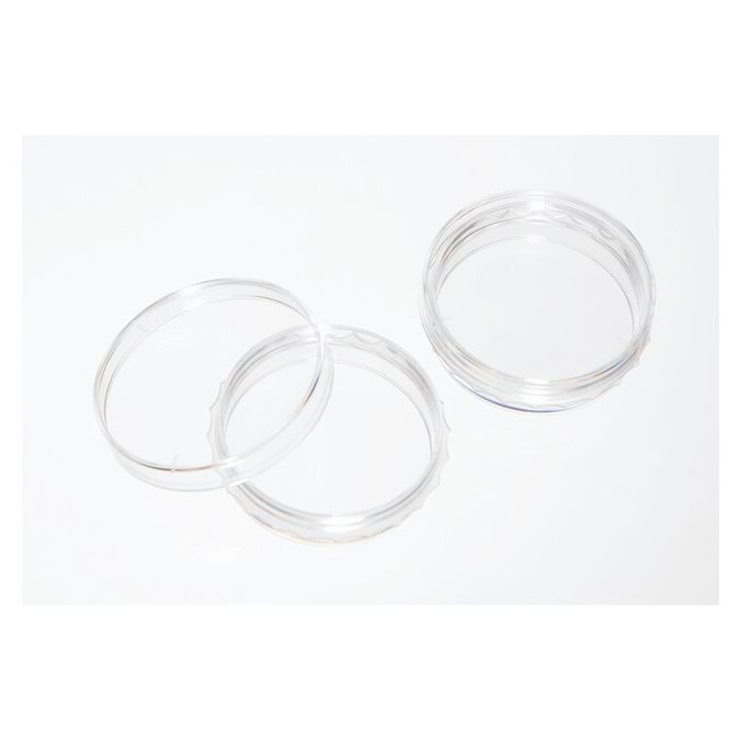 Thermo Scientific BioLite Cell Culture Treated Dishes - 130182 - 100 mm