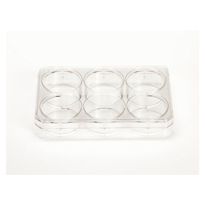 Thermo Scientific Nunc Cell-Culture Treated Multidishes - 6 wells - 3mL - 9.6 sq. cm culture area - 140675