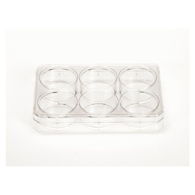Thermo Scientific Nunc Cell-Culture Treated Multidishes - 6 wells - 3 mL - 9.6 sq. cm culture area - 140685