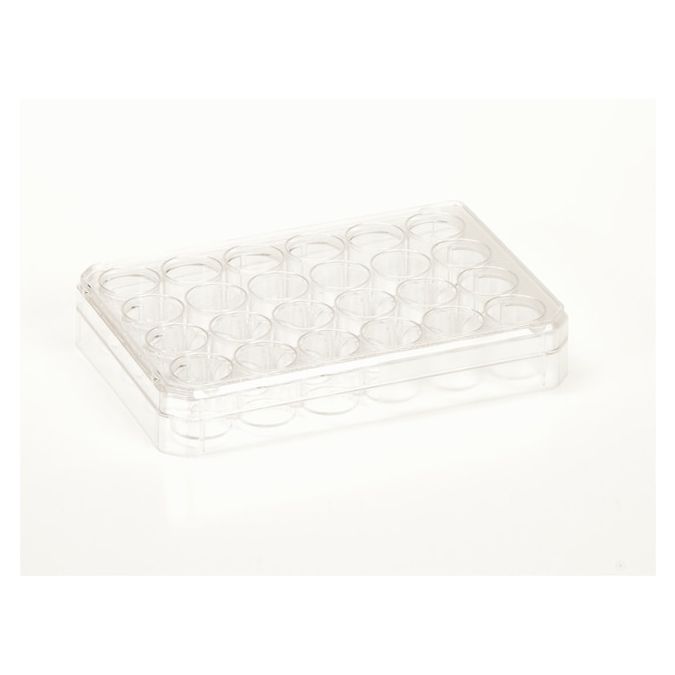 Thermo Scientific Nunc Cell-Culture Treated Multidishes - 24 wells - 1mL - 1.9 sq. cm culture area - 142475