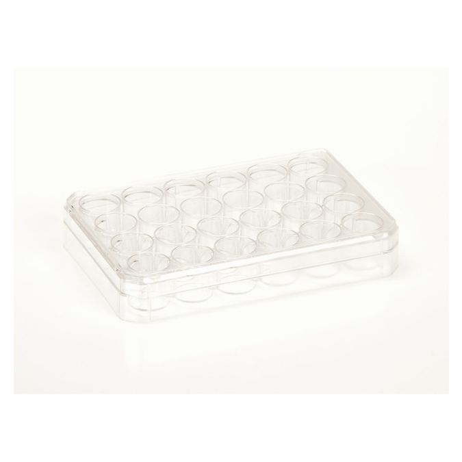 Thermo Scientific Nunc Cell-Culture Treated Multidishes - 24 wells - 1mL - 1.9 sq. cm culture area - 142485