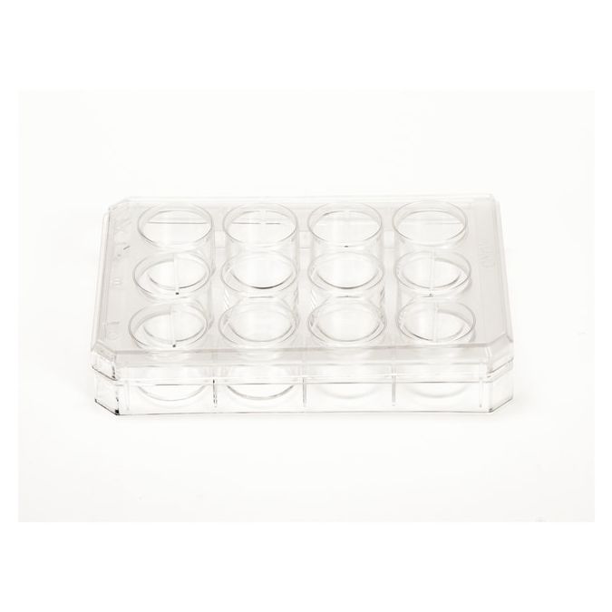 Thermo Scientific Nunc Cell-Culture Treated Multidishes - 12 wells - 2 mL - 3.5 sq. cm culture area - 150628