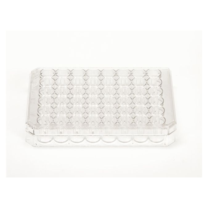 Thermo Scientific Nunc Cell-Culture Treated Multidishes - 48 wells - 0.5mL - 1.1 sq. cm culture area - 150687