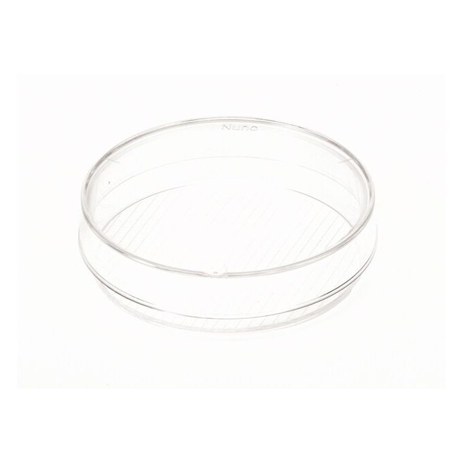 Thermo Scientific Nunc Cell Culture/Petri Dishes - 169558 - 60 mm - Clear