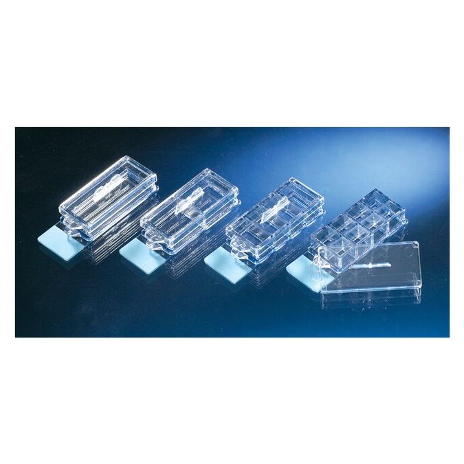 Nunc Lab-Tek II CC2 Chamber Slide System