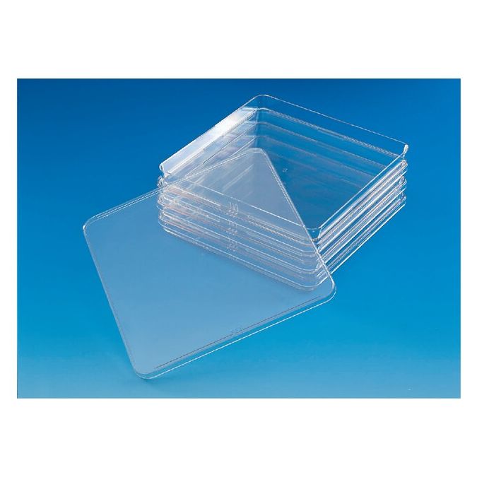 Thermo Scientific Nunc Square BioAssay Dishes - 240845