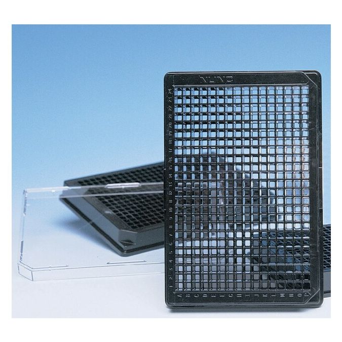 Thermo Scientific 384 Well Black/Clear Bottom Plate, Non-Treated Surface, No Lid, Non-Sterile, Pack of 10 - 384 wells - 242764