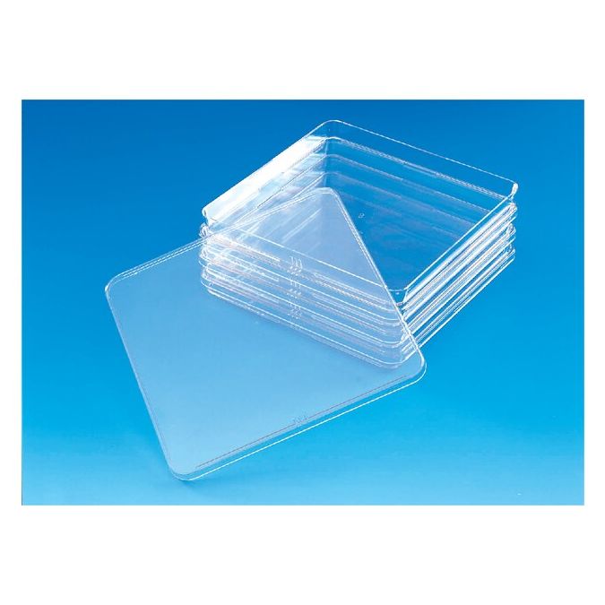 Thermo Scientific Nunc Square BioAssay Dishes - 166508 - Clear